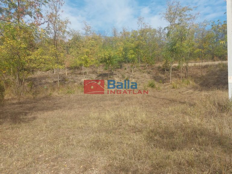 Eladó 4995 m²-estelek Balatonendréd, Zártkert utca: 14'490'000 Ft