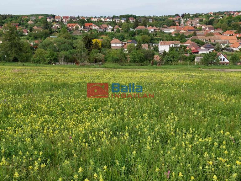 Eladó 1949 m²-estelek Berkenye, Bérc utca: 26'400'000 Ft