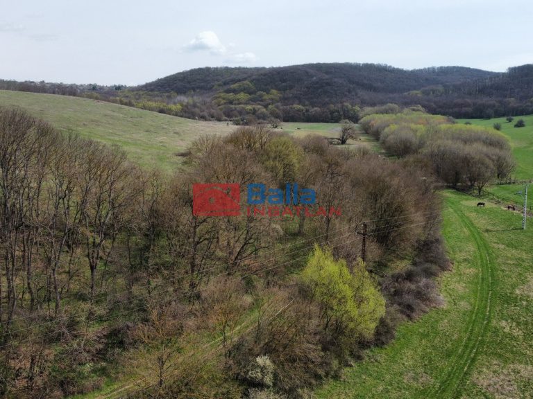 Eladó 22721 m²-esmezőgazdasági ingatlan Berkenye, Külterület utca: 17'949'000 Ft