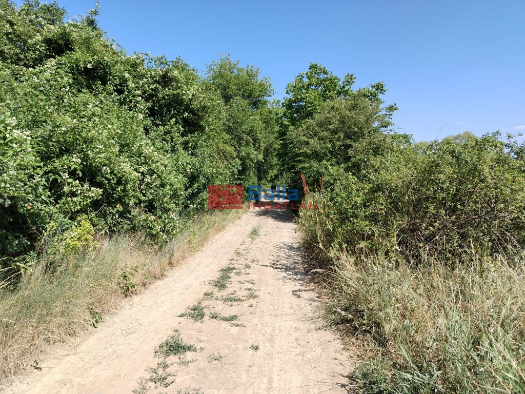 Eladó 3002 m²-esmezőgazdasági ingatlan Budakalász (Budakalász) , Klisovác utca: 6'000'000 Ft