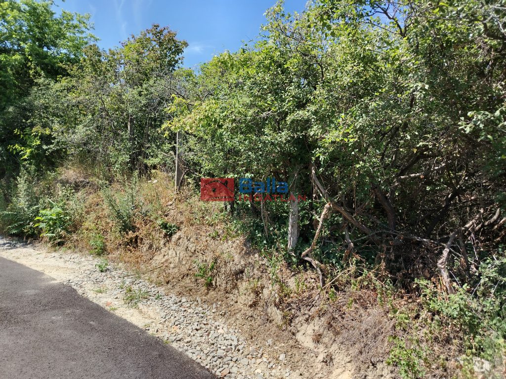 Eladó 2239 m²-esmezőgazdasági ingatlan III. Kerület (Békásmegyer- Ófalu) , Mély utca: 16'000'000 Ft