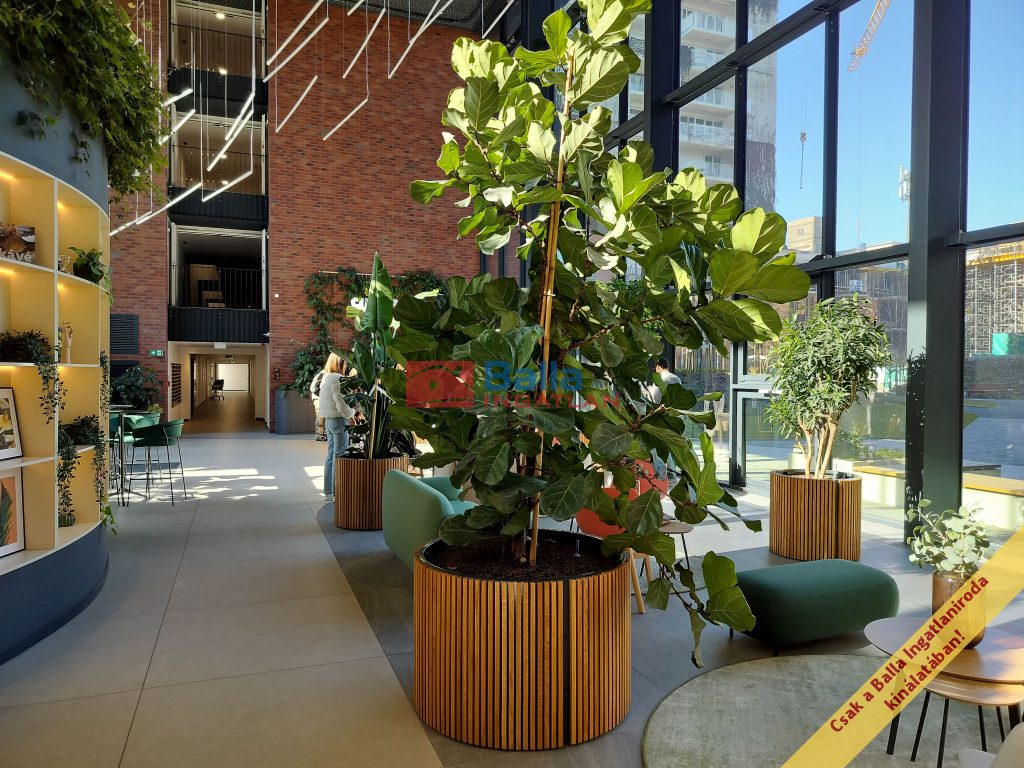 Eladó 38 m²-estársasházi lakás IX. Kerület (Középső Ferencváros (Rehabilitációs terület)) , Vágóhíd utca: 86'000'000 Ft