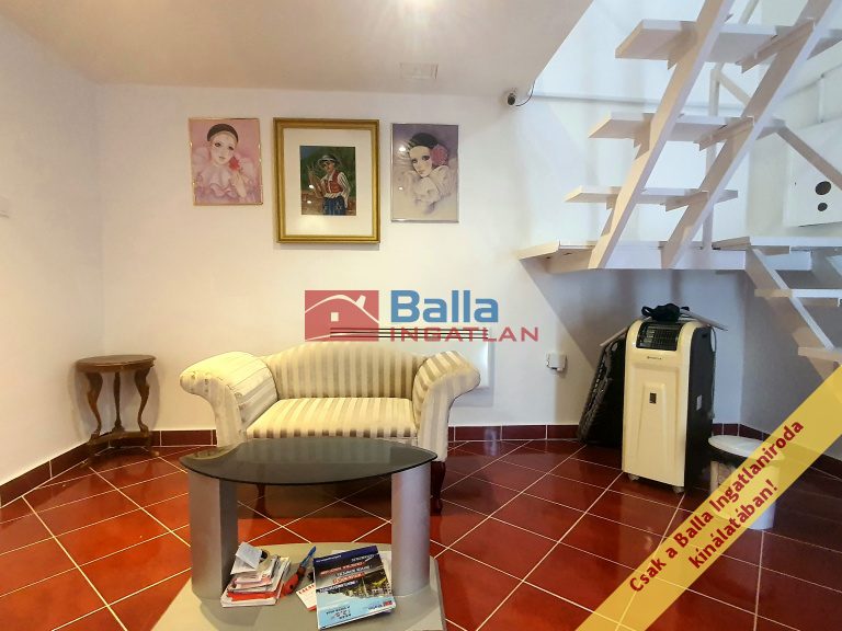 Eladó 21 m²-esüzlethelyiség utcai bejárattal VII. Kerület (Ligetváros) , BERENDEZETT FOGORVOSI RÖNTGENLABOR BP.VII.: 53'000'000 Ft