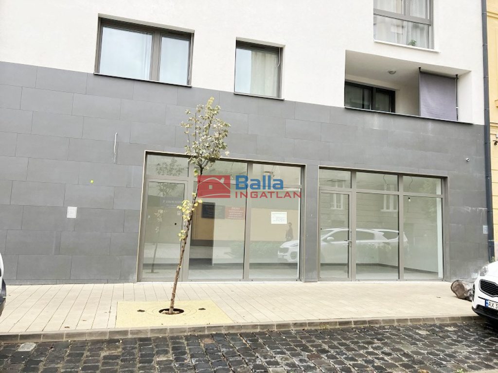 Eladó 58 m²-esüzlethelyiség utcai bejárattal VIII. Kerület (Csarnoknegyed) , Tolnai Lajos utca: 74'900'000 Ft