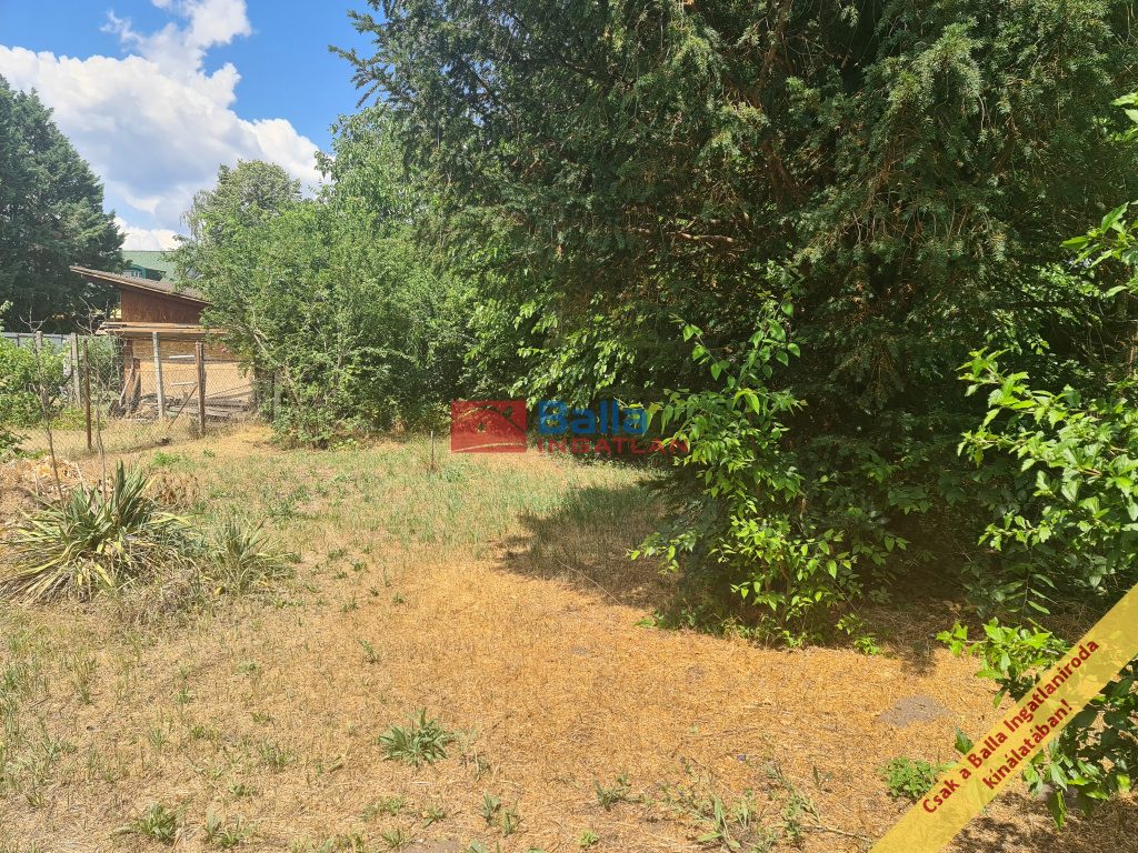 Eladó 711 m²-estelek XV. Kerület (Rákospalota) , Csajág utca: 69'000'000 Ft