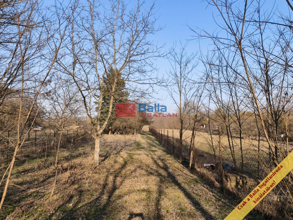 Eladó 828 m²-estelek XVI. Kerület (Cinkota) , Cinkota: 11'900'000 Ft