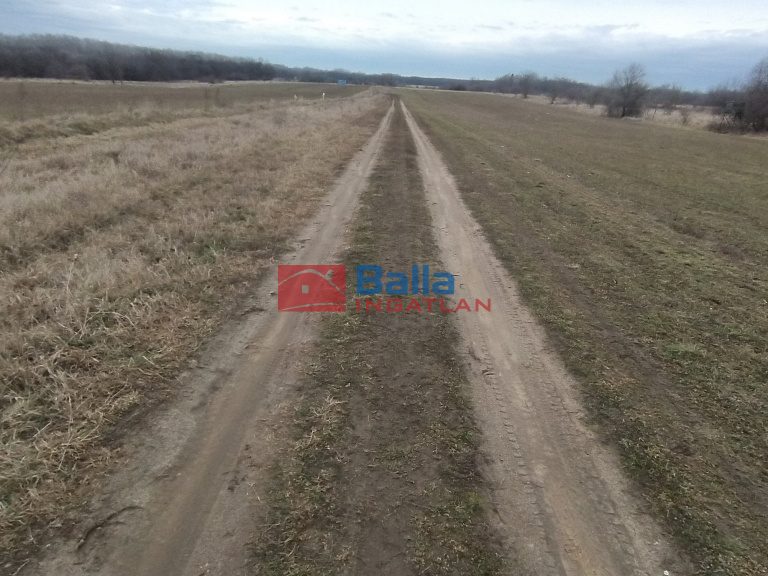 Kiadó 1000 m²-esmezőgazdasági ingatlan XVII. Kerület (Rákoshegy) , Reptér közeli völgy: 110'000 Ft