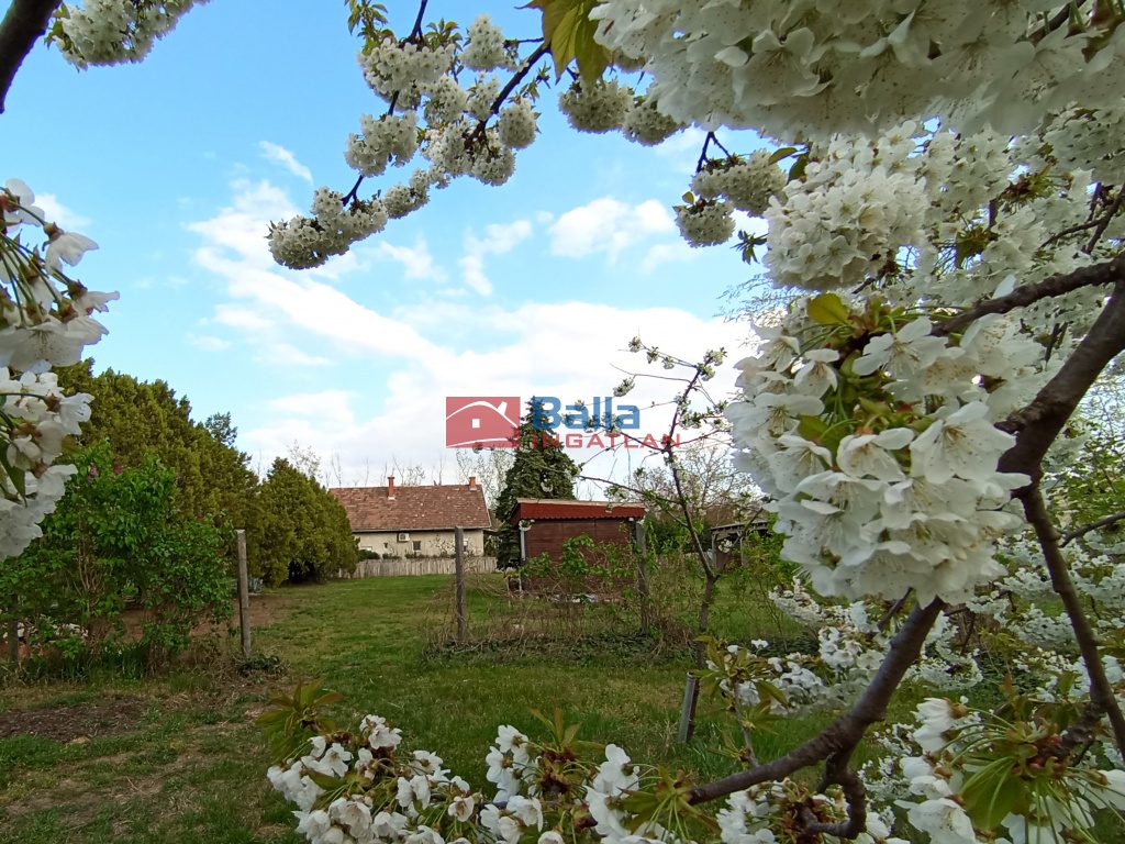 Eladó 4450 m²-estelek XVII. Kerület (Rákoshegy) , Rózsahegy utca: 135'000'000 Ft