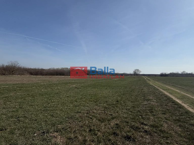 Eladó 1000 m²-estelek XVII. Kerület (Rákoshegy) , reptér közeli utca: 4'900'000 Ft