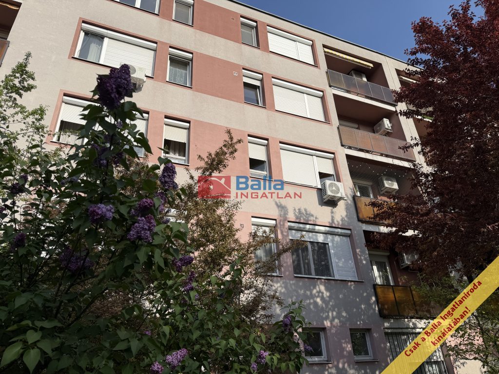 Eladó 55 m²-estársasházi lakás XXI. Kerület (Belváros (Városközpont)) , Templom utca: 59'900'000 Ft