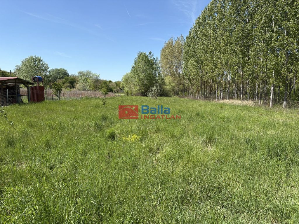 Eladó 1719 m²-estelek Dömsöd, Vadvirág utca: 5'900'000 Ft