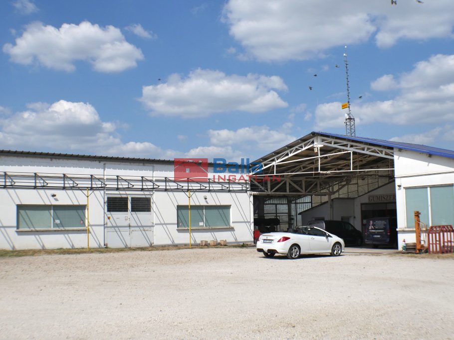 Eladó 1065 m²-esegyéb üzlethelyiség Dömsöd, gumis tanya: 380'000'000 Ft
