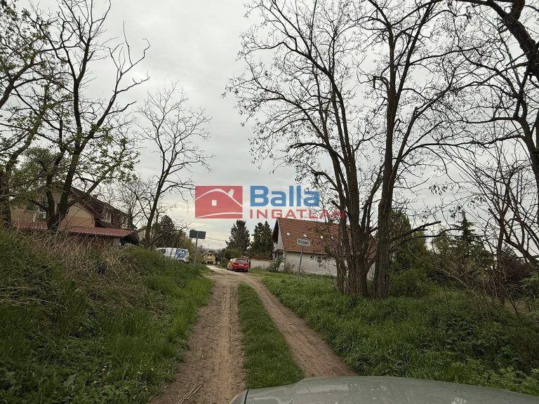 Eladó 1000 m²-esmezőgazdasági ingatlan Ecser, Ecser belterületétől pár percre lévő utca: 11'900'000 Ft