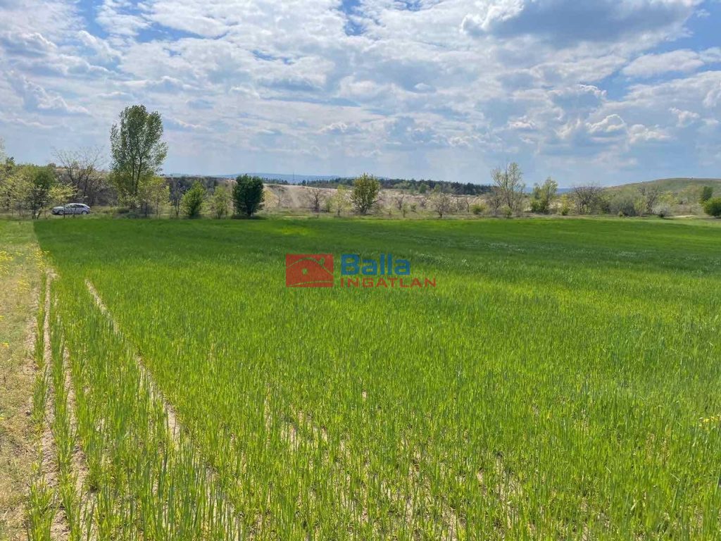 Eladó 28770 m²-esmezőgazdasági ingatlan Fót, Fót- Kisalag: 24'900'000 Ft