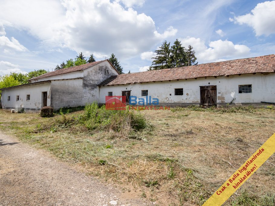 Eladó 1795 m²-esmezőgazdasági ingatlan Galgagyörk, Belterület: 20'000'000 Ft