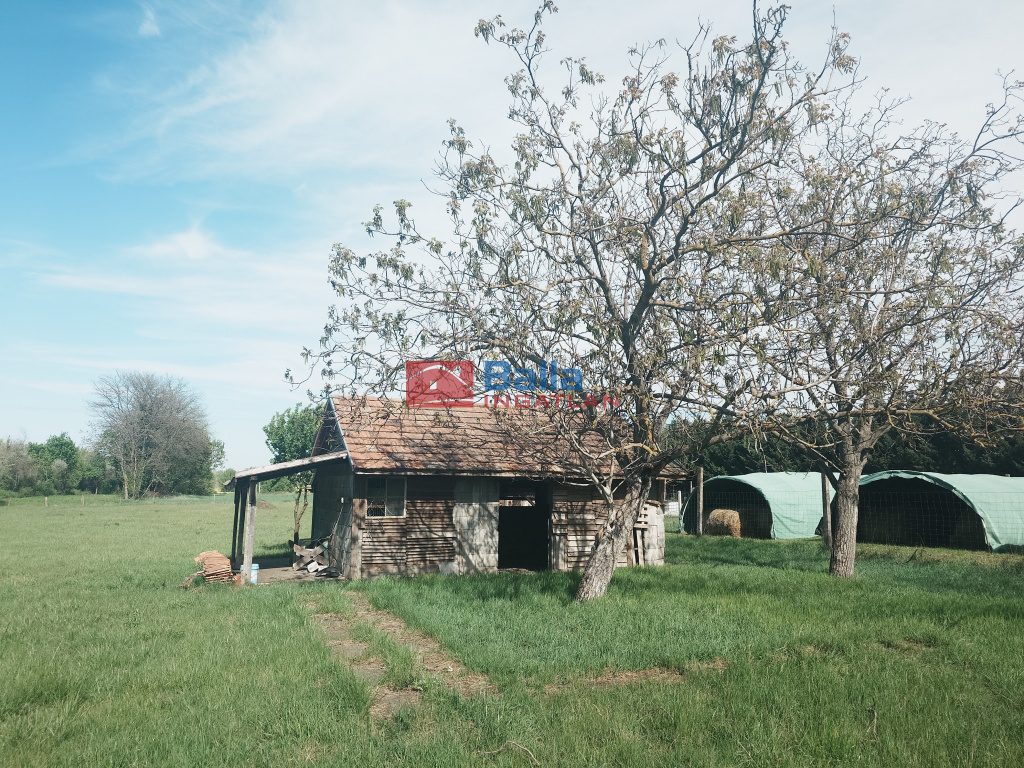 Eladó 4521 m²-estelek Gárdony, Géza fejedelem utca: 39'900'000 Ft