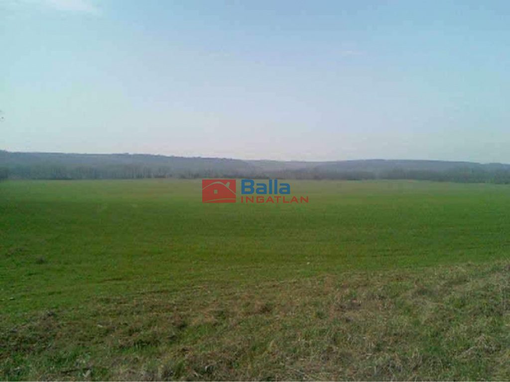 Eladó 70000 m²-esmezőgazdasági ingatlan Isaszeg, Isaszeg külterület utca: 35'000'000 Ft