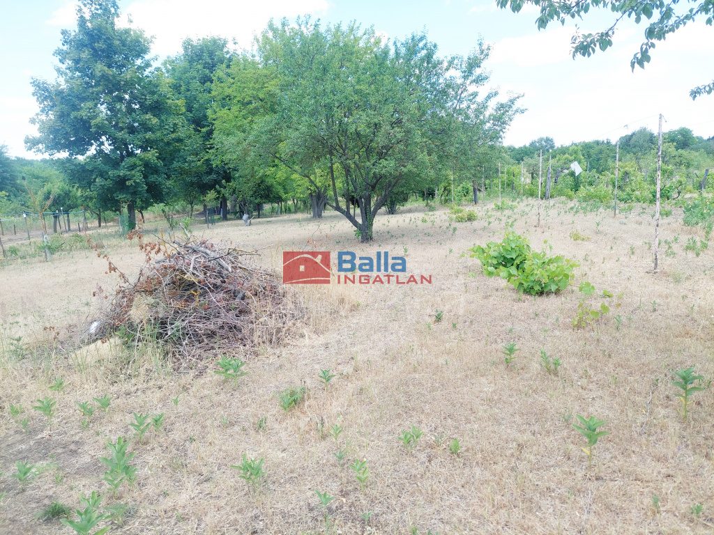 Eladó 2081 m²-estelek Jászberény, Neszür 7 dűlő: 3'700'000 Ft