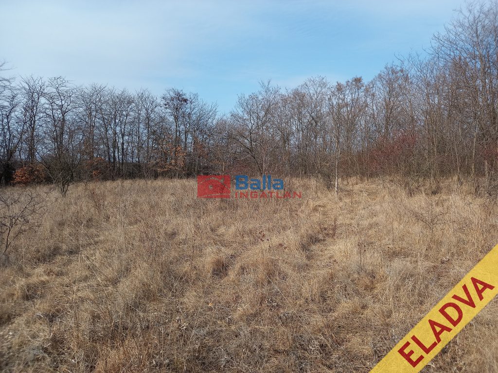 Eladó 909 m²-estelek Kerepes, Hungaroring ideiglenes Hév megálló: 2'500'000 Ft