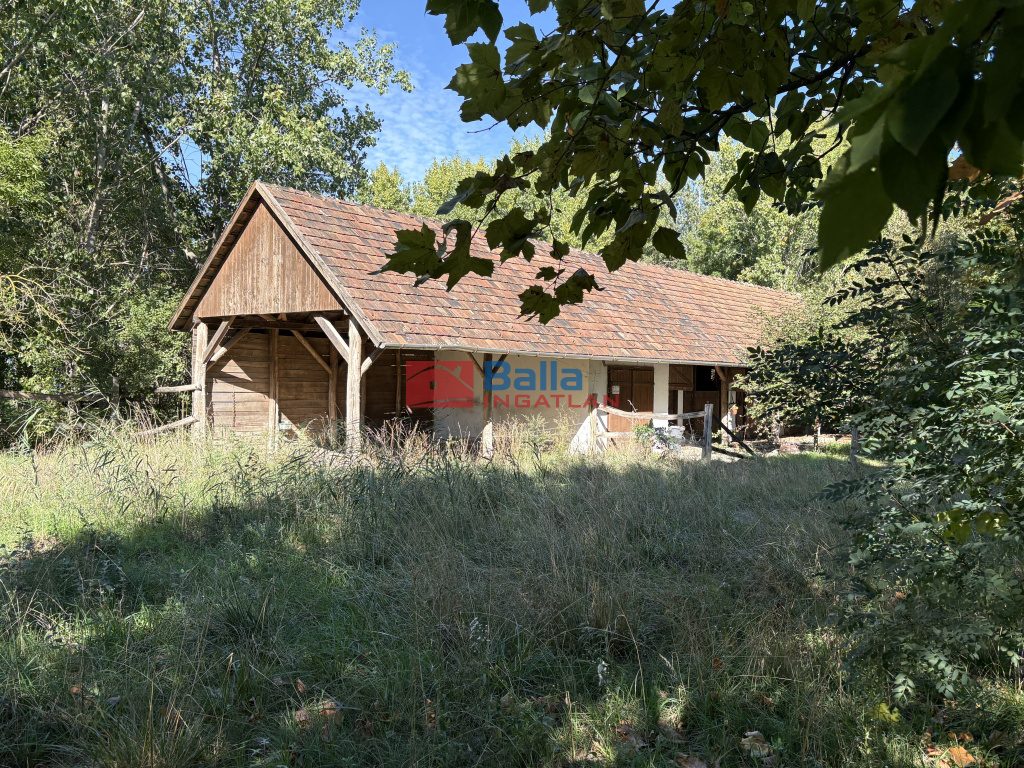 Eladó 45000 m²-esmezőgazdasági ingatlan Kiskunlacháza, Dunai út: 63'000'000 Ft