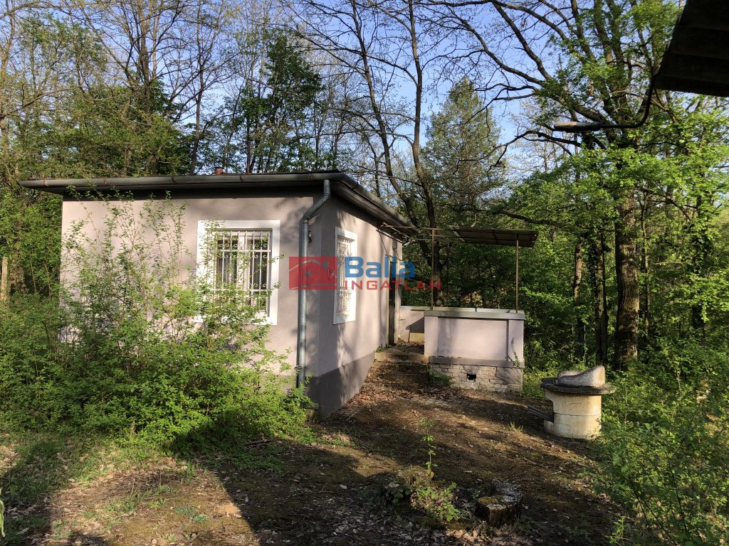 Eladó 1224 m²-estelek Kismaros, Börzsönyliget: 39'500'000 Ft