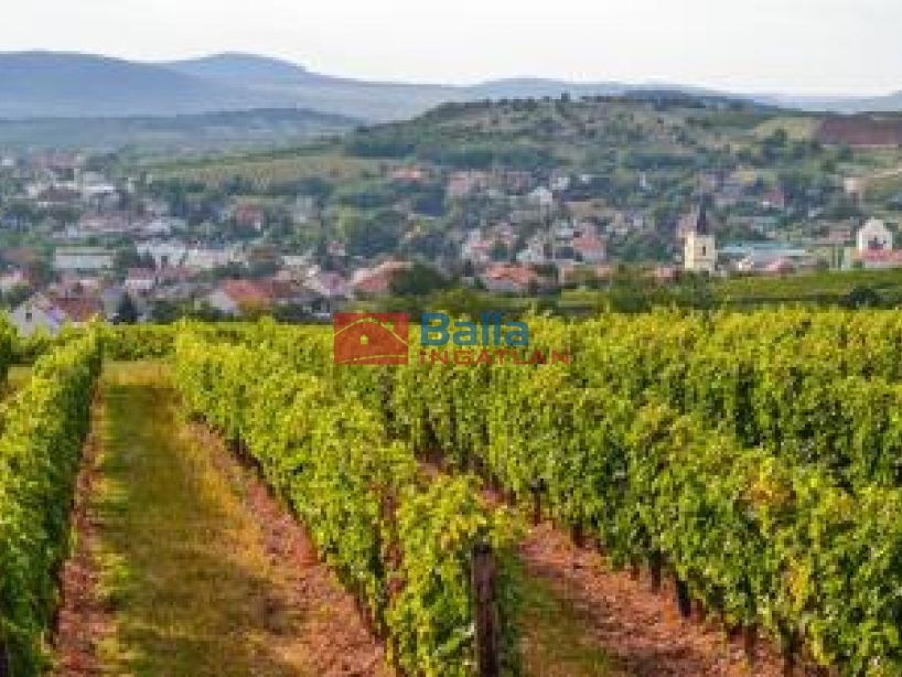 Eladó 97 m²-escsaládi ház Mád, . utca: 35'000'000 Ft