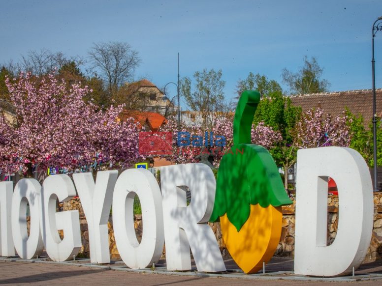 Eladó 1439 m²-estelek Mogyoród, Pacsirta utca: 18'000'000 Ft