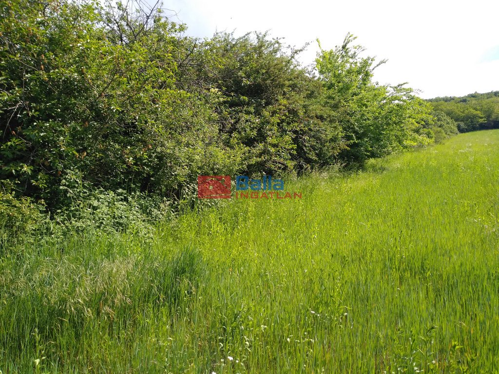 Eladó 5988 m²-esmezőgazdasági ingatlan Mogyoród, külterület: 43'000'000 Ft