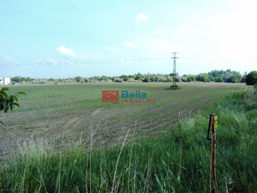 Eladó 75557 m²-esmezőgazdasági ingatlan Pákozd, Fehérvári utca: 226'671'000 Ft