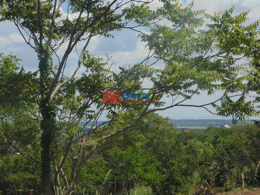 Eladó 1432 m²-estelek Pákozd, Szegfű utca: 12'000'000 Ft