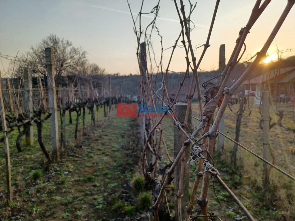 Eladó 12 m²-esüdülő Pázmánd (Pázmánd) , Bágyomi út: 9'000'000 Ft