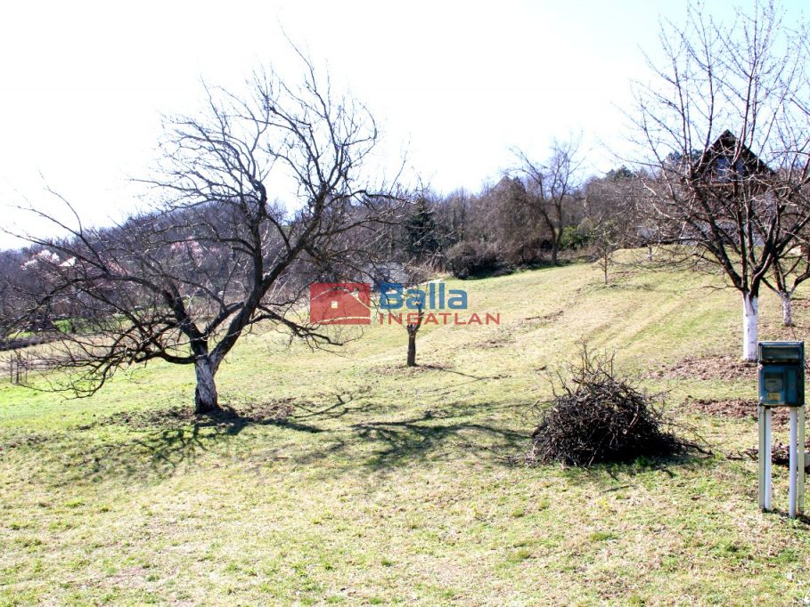 Eladó 1490 m²-estelek Pázmánd, Szőlőhegy utca: 7'499'000 Ft