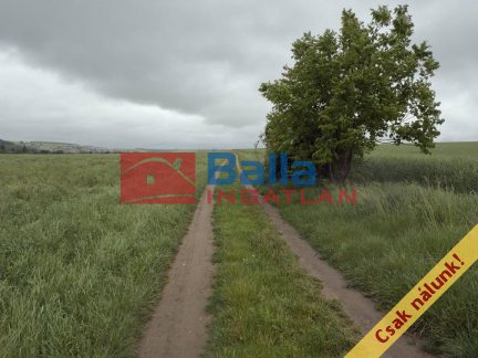 Eladó 6088 m²-estelek Pécel, Városközpont közeli utca: 5'800'000 Ft