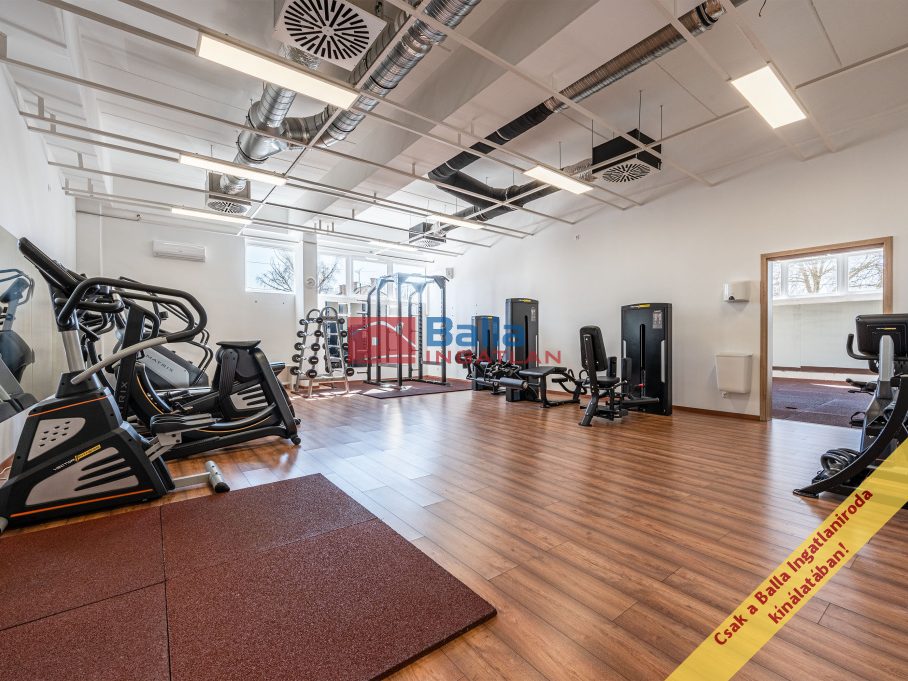 Eladó 302 m²-esüzlethelyiség utcai bejárattal Ráckeve, Bercsényi utca: 179'800'000 Ft