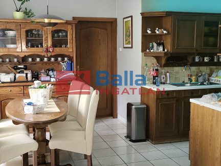 Eladó 295 m²-escsaládi ház Szomor, Ady Endre utca: 105'000'000 Ft