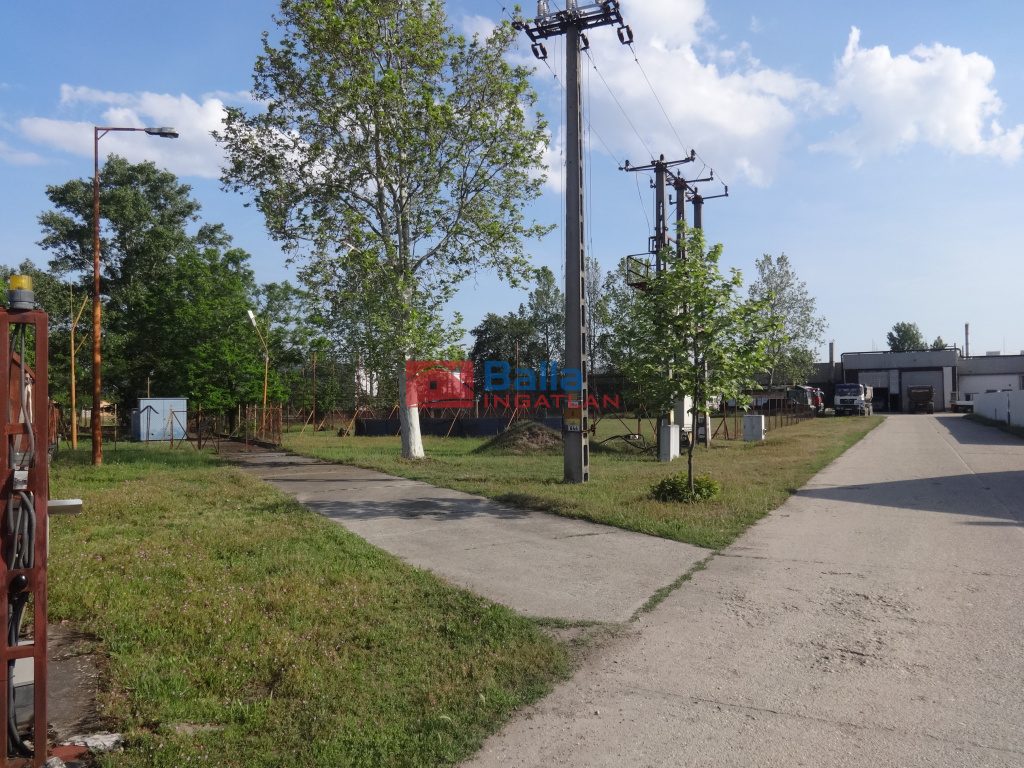 Eladó 4358 m²-estelek Tiszakécske, Dózsa telep utca: 43'300'000 Ft