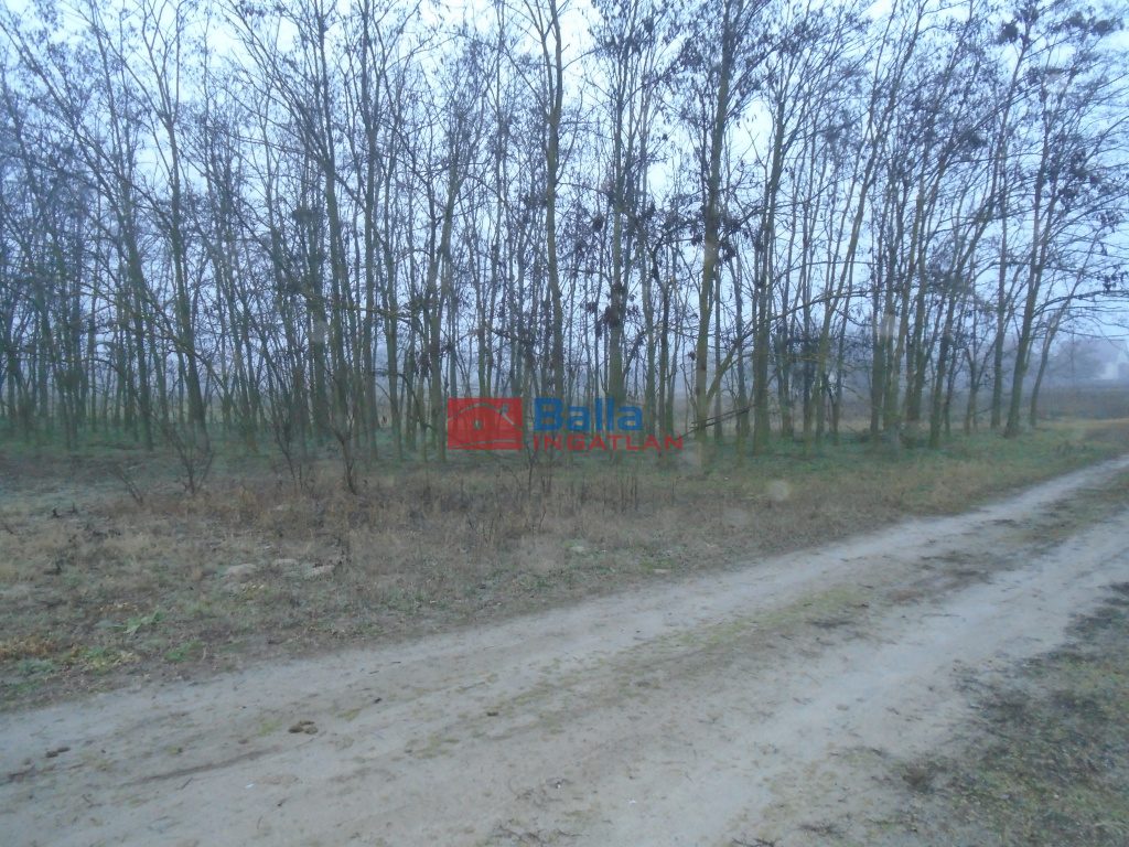 Eladó 2527 m²-estelek Tiszakécske, Holt-Tiszánoz közel utca: 6'500'000 Ft