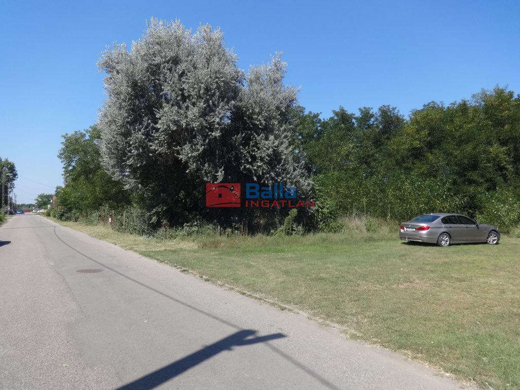 Eladó 8000 m²-estelek Tiszakécske (Kerekdomb) , Kerekdomb út: 40'000'000 Ft