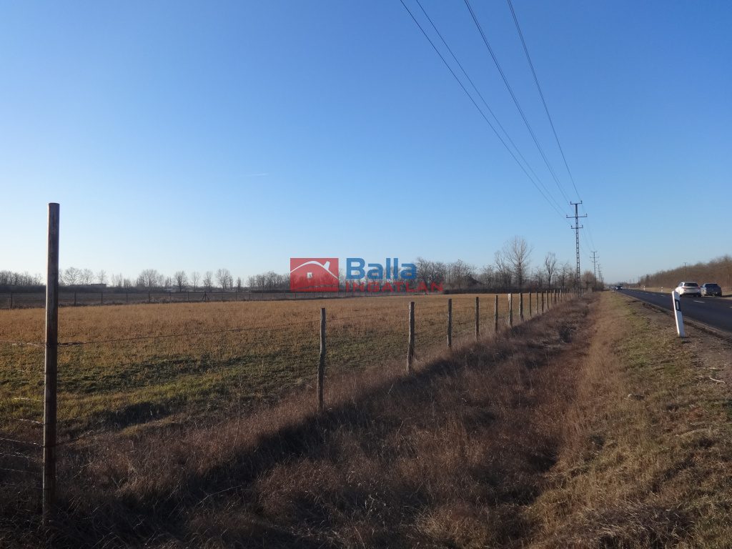 Eladó 8225 m²-estelephely Tiszakécske, Szentkirályi út út: 22'000'000 Ft