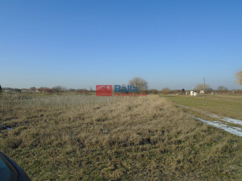 Eladó 1769 m²-esmezőgazdasági ingatlan Tiszakécske, Virághegy utca: 800'000 Ft