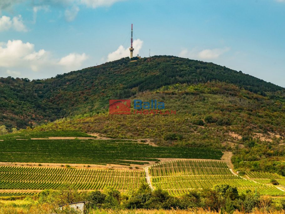 Eladó 45864 m²-estelek Tokaj, külterület: 62'000'000 Ft