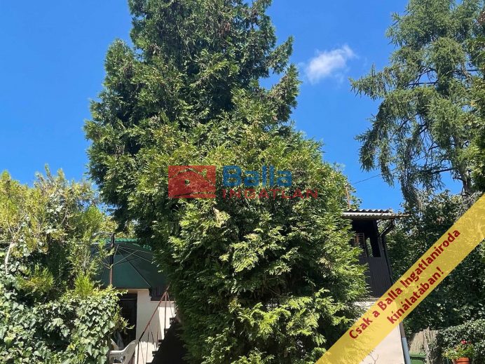 Eladó 49 m²-esüdülő Vác, Nyulas: 23'000'000 Ft