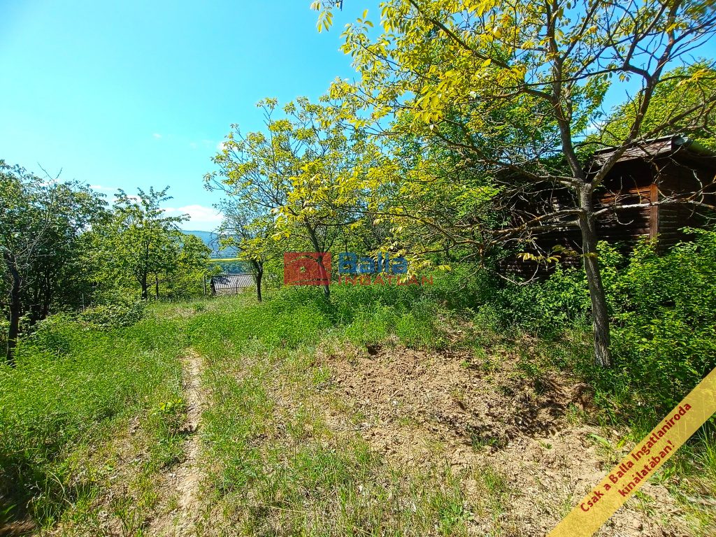 Eladó 949 m²-esmezőgazdasági ingatlan Verőce, Névtelen utca: 22'000'000 Ft