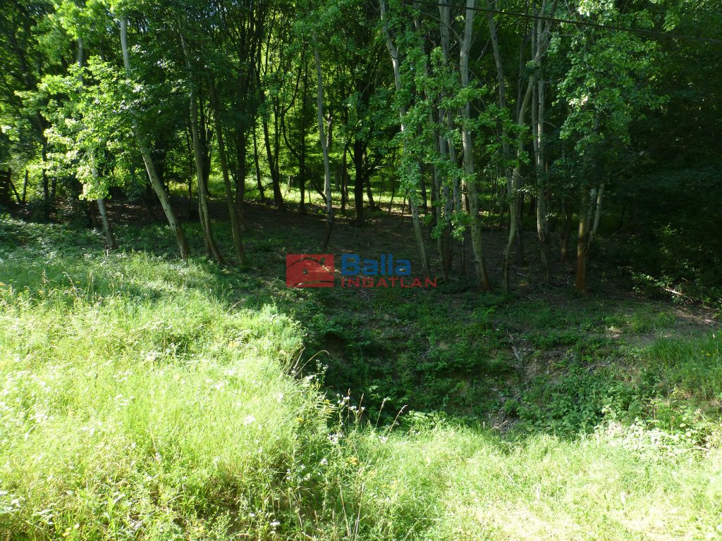 Eladó 1730 m²-estelek Visegrád, Gizella utca: 19'950'000 Ft