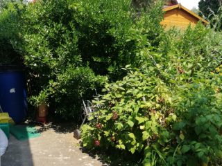 Eladó 110 m²-escsaládi ház Ábrahámhegy, Zsákutca: 79'900'000 Ft