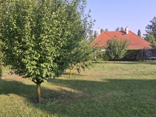 Eladó 720 m²-estelek Ábrahámhegy, Zsákutca: 36'800'000 Ft