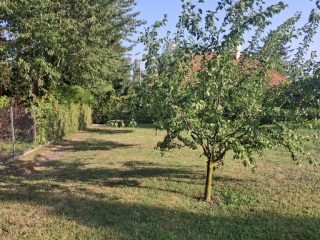 Eladó 720 m²-estelek Ábrahámhegy, Zsákutca: 36'800'000 Ft