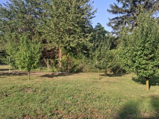 Eladó 720 m²-estelek Ábrahámhegy, Zsákutca: 36'800'000 Ft