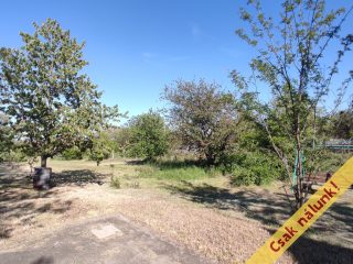 Eladó 3439 m²-estelek Adony (Adony) , Mandula hegy: 8'000'000 Ft