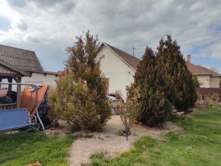 Eladó 54 m²-escsaládi ház Adony, Táncsics Mihály utca: 39'900'000 Ft